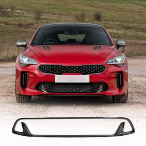 Решітка бампера (Карбон) для Kia Stinger 2017-2023 рр