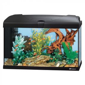 Акваріум Ferplast CAPRI 60 LED WHITE 60 x 31,5 x h 39,5 cm
