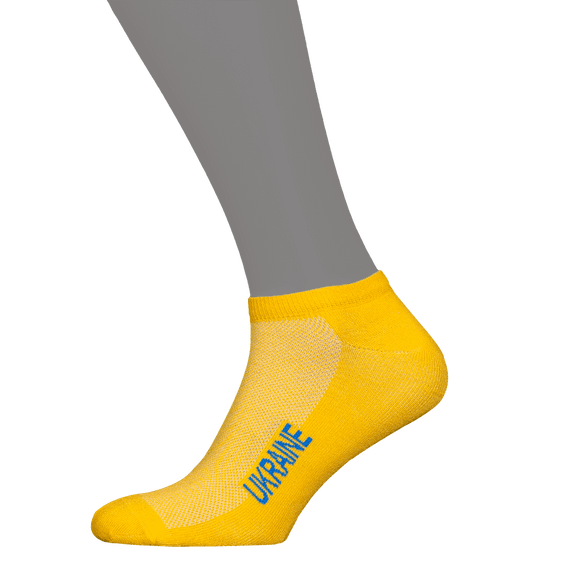 Шкарпетки Ukraine Жовто-блакитні (7152), 39-42 42-45 | Зображення 2