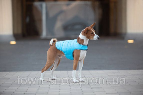 Курточка-накидка для собак AiryVest, M, B 52-62 см, С 37-46 см голубой | Зображення 5