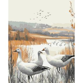 Картина за номерами "Осінні тіні" 11578-AC 40х50 см