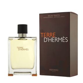 Terre Hermes edt 100ml (Euro Quality)