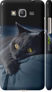 Чохол на Samsung Galaxy Grand Prime VE G531H Димчастий кіт "825m-212-2448"