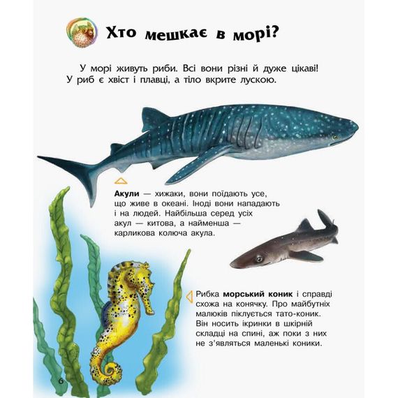Енциклопедія дошкільника Океани та моря 614055 для найменших | Зображення 1