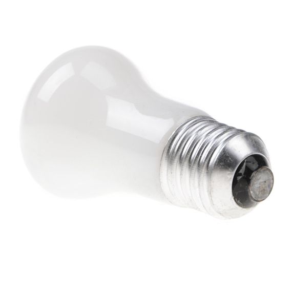 Лампа накаливания декоративная 40W E27 WW E50 220V | Зображення 4