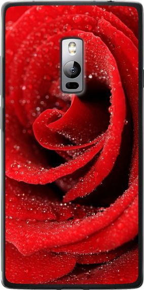 Чехол на OnePlus 2 Красная роза "529u-386-17620"