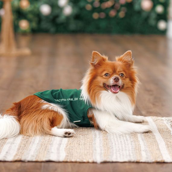 Борцівка Kale ТМ Pet Fashion для собак S зелена | Зображення 3