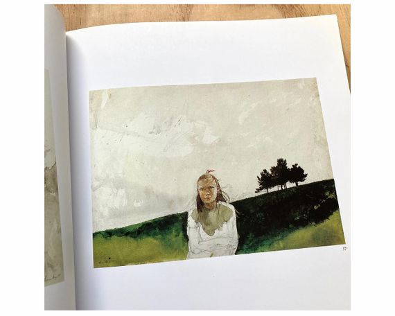 Ендрю Вайет книга з картинами Andrew Wyeth: The Helga Pictures Література для художників про мистецтво | Зображення 1
