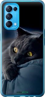 Чохол на Oppo Reno5 Димчастий кіт "825u-2206-2448"