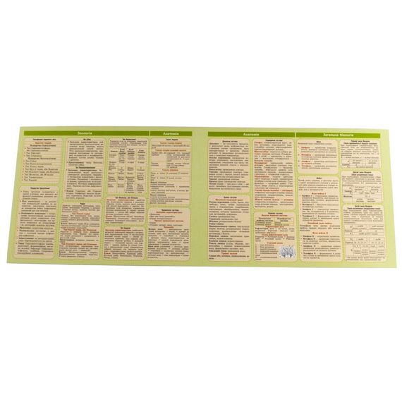 Картонка-підказка Біологія 6-11 кл. ZIRKA 66445 | Зображення 2