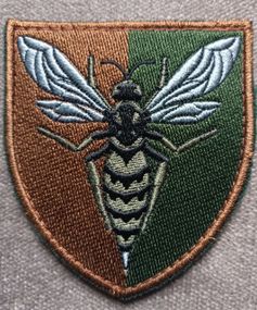 Шеврон 38 зенитно ракетный полк (зеленый)