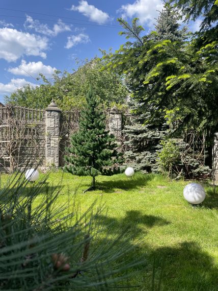 Новорічна штучна ялинка Classic 220 см зелена | Зображення 5