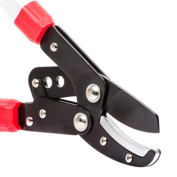 Гілкоріз садовий для обрізання гілок 730 мм. INTERTOOL FT-11121 | Зображення 5