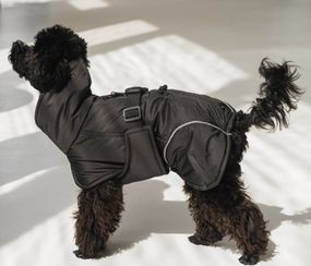 Жилет попона чорний GP-6