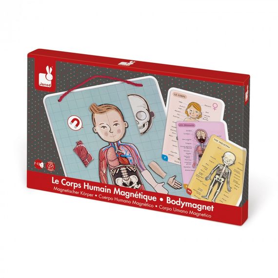 Игровой магнитный набор Janod Тело человека J05491 (J05491) | Зображення 3