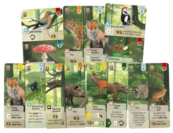 Настільна гра Лісова метушня (Forest Shuffle) | Зображення 3
