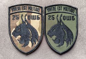 Шеврон 25 ОШБ Vivere Est Militare (мультікам+олива)