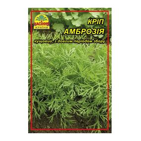 Насіння Кропу Амброзія 3 г (Насіння країни)