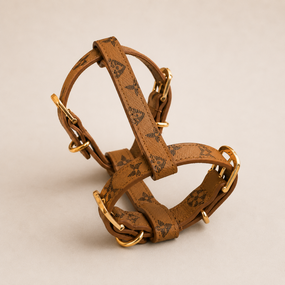 Брендовая шлея для собак LOUIS VUITTON рисунок с цветами, рыжий