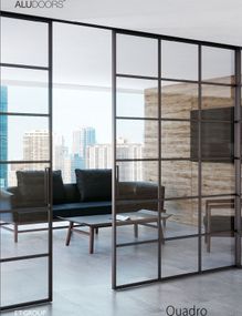 Двери межкомнатные AluDoors Quadro (раздвижная) Покраска по RAL