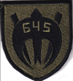 Шеврон 645 батальйон