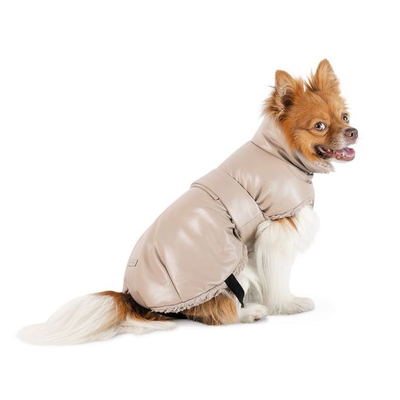 Попона Pet Fashion Mikki для собак бежева S | Зображення 2