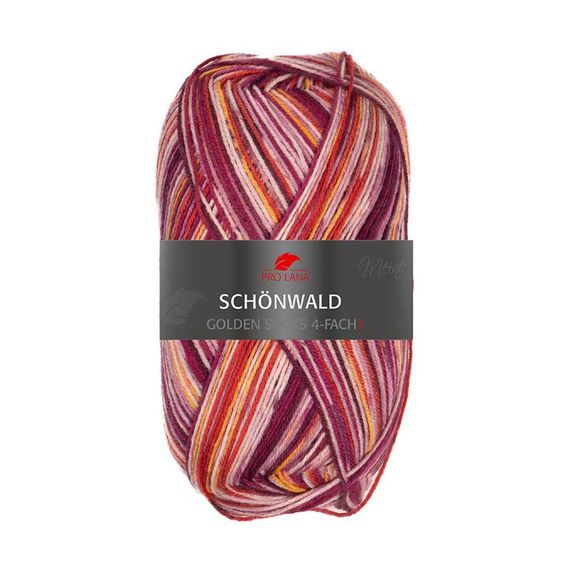 Шкарпеткова пряжа Pro Lana Golden Socks Schonwald, 666 | Зображення 1