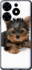 Чехол на Tecno Spark 10 Pro Щенок йоркширского терьера "931u-3022-17620"