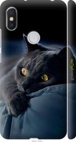 Чохол на Xiaomi Redmi S2 Димчастий кіт "825m-1494-2448"
