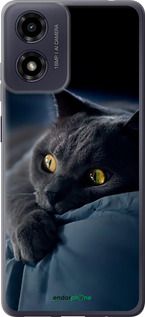 Чохол на Motorola Moto E14 Димчастий кіт "825u-3848-2448"