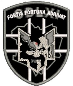 Шеврон CDLXI FORTIS FORTUNA ADIUVAT