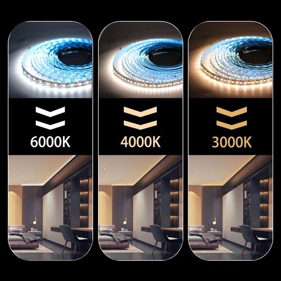 Світлодіодна LED стрічка PROLUM™ RUN 24V; 2835\120; IP20; Series "SMART", Білий+Тепло-Білий (2700-6500K) | Зображення 2