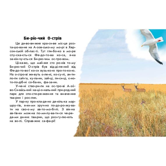 Читаю про Україну по складах "Парки та заповідники" 366018 з кольоровими ілюстраціями | Зображення 1