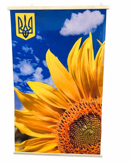 Обігрівач настінний підвісний картина шпалери з підігрівом тема соняшник небо подвійна 100 х 60 см | Зображення 1