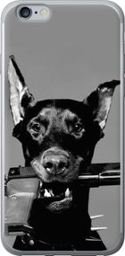 Чехол на iPhone 6 Plus Доберман "2745u-48-17620"