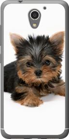Чехол на ZTE A510 Щенок йоркширского терьера "931u-432-17620"