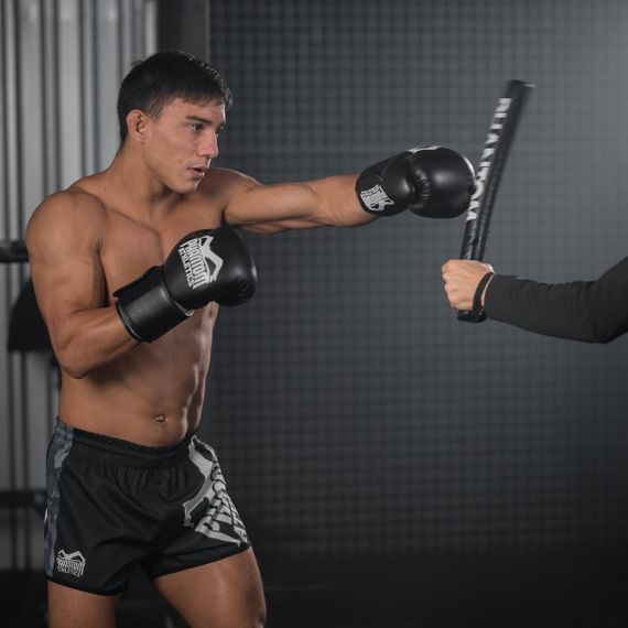 Палиці для боксу (лападани тренерські) Phantom Boxing Sticks | Зображення 4