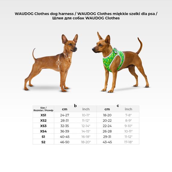 Шлея для собак м'яка WAUDOG Clothes з QR паспортом, малюнок "Супермен комікс", S2, В 46-50 см, С 43-45 см | Зображення 1