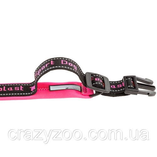 Ошейник для собак Ferplast Sport Dog С20/43 нейлоновый розовый 2х33-43 см 78003916 | Зображення 3