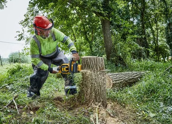 Акумуляторна міні-пилка DeWalt з АКБ та ЗП DCMCS574X1 | Зображення 3