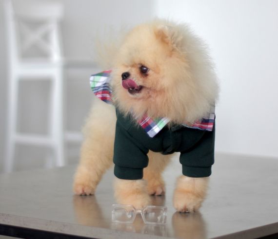 Толстовка з сорочкою смарагд Y-295