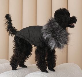 Жилет Glem чорний G-91