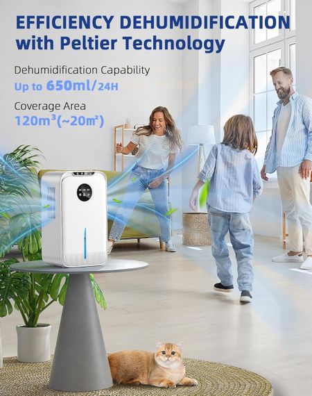 Осушитель воздуха электрический, портативный, 2200 мл, для дома с шлангом, таймером, ночным режимом, белый | Зображення 5