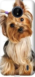 Чохол для Nokia C20 з силікону FCh_080678