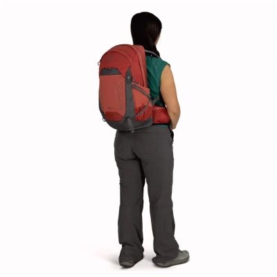 Рюкзак туристический Osprey Tempest 22 red pampas/coal grey - O/S - червоний/сірий (009.3843) | Зображення 3