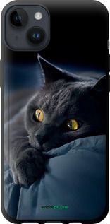 Чохол на iPhone 14 Plus Димчастий кіт "825b-2645-2448"