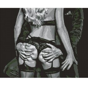 Алмазна мозаїка "Тепло пристрасті" AMO7933 40х50см