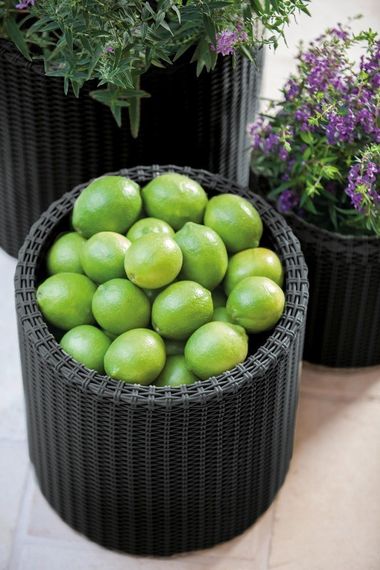 Горщик для квітів (кашпо) Keter (Кетер) Cylinder Planter L (17197837) Антрацит | Зображення 5