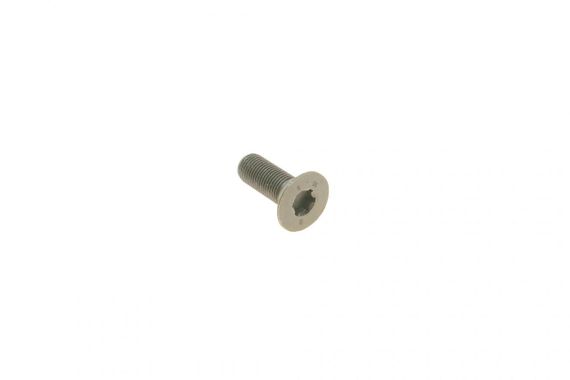 Болт M12x1.25x33mm  06D109281D