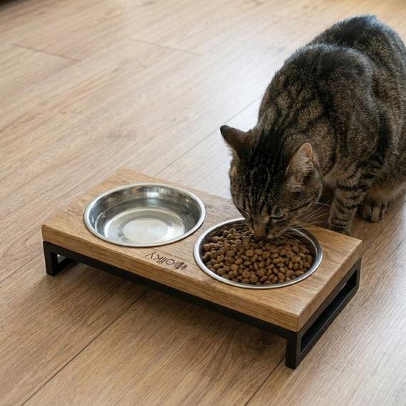 Миски на подставке для маленьких собак и котов Hollky Base XS (2 × 0,25 л) BXS-28145-BLNT | Зображення 1
